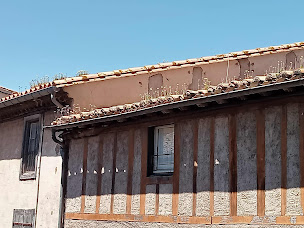 Photo n°23 de Découvrez l'Occitanie Autrement à Carcassonne (Agence de visites touristiques)