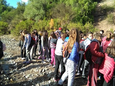 Photos of Colonia Papagallos DGE