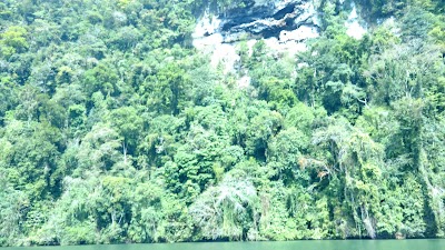 Photos of Biotopo Chocon Machacas