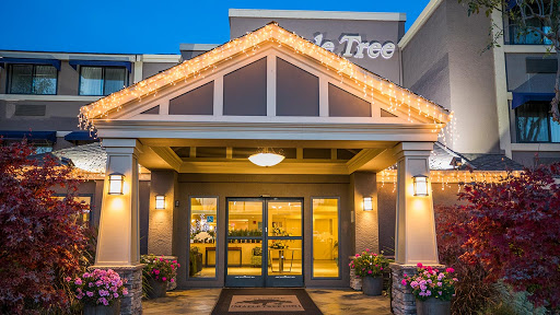 Maple Tree Inn - Thumbnail