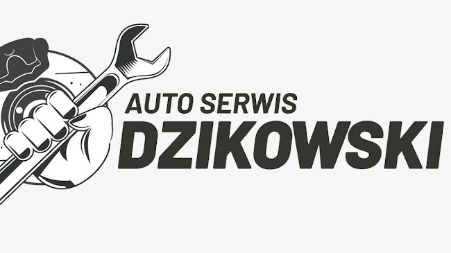 Auto Serwis Dzikowski Mechanika, Blacharstwo - Gdańsk