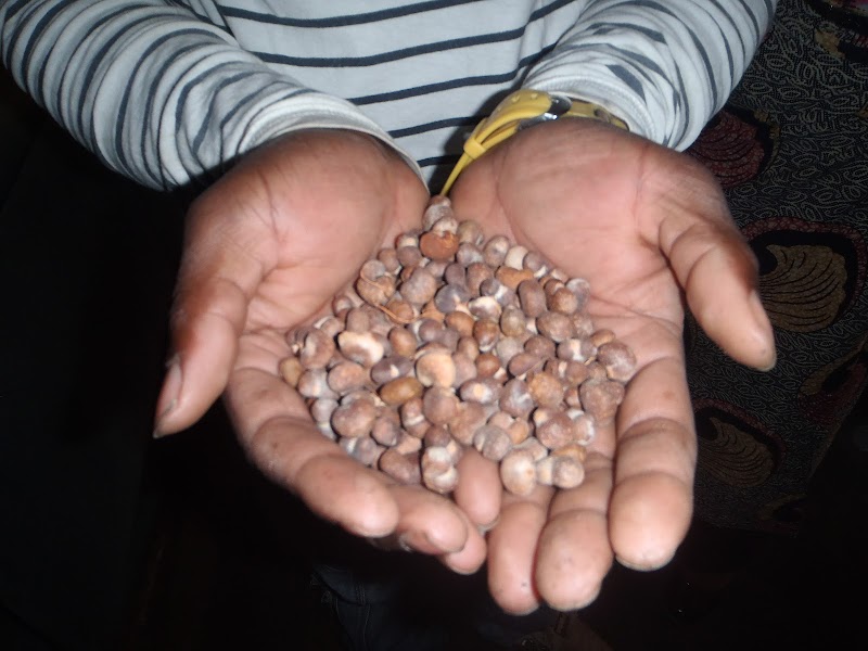 バオバブ・サンライズ