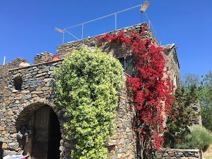 Photo n°29 de L'ARADU à Tallone (Restaurant)