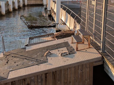 Photos of Harbor Bath Islands Brygge