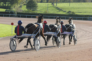 Photo n°1 de Haras de Fresneaux à Aunou-sur-Orne (Éleveur)