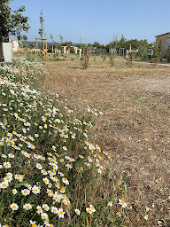 Photo n°8 de Camping Aigue Marine à Frontignan (Terrain de camping)