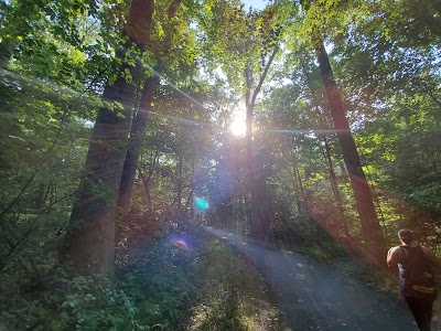 Pine Branch Trail