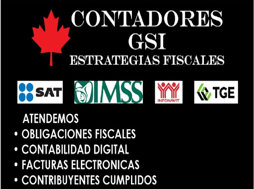 GSI CONTADORES - Thumbnail