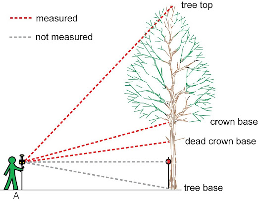 Af1qippy2owgfmqobjuaccfs2stcywcqpnscdjvt5gga=s521 K No