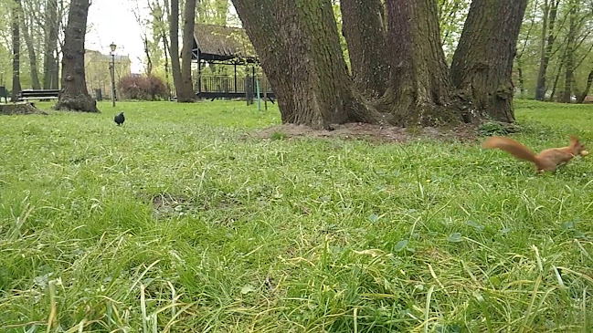 Opinii despre Park Dittricha în Żyrardów - Architekt