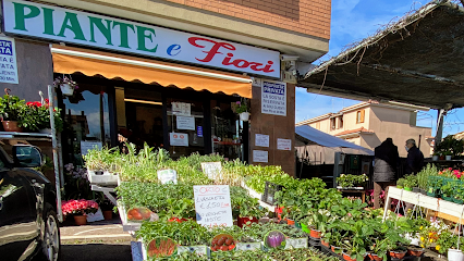 L'ANGOLO DEI FIORI