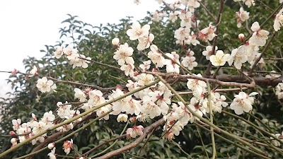 Photos of China Chunqiu Yancheng Tourism Area