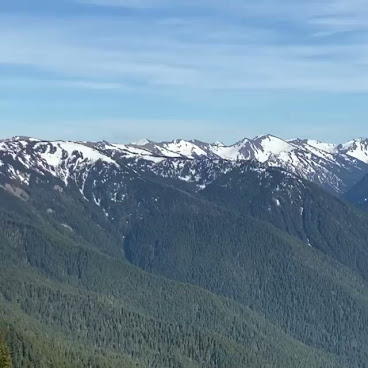Hurricane Ridge by null