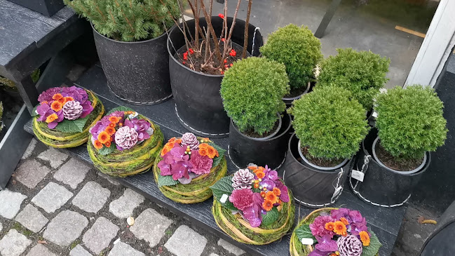 Opinii despre Acacia Blomsterkunst în Roskilde - Blomsterbutik