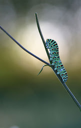 Photo n°18 de Brenne & Berry à Lingé (Chambre d'hôtes)