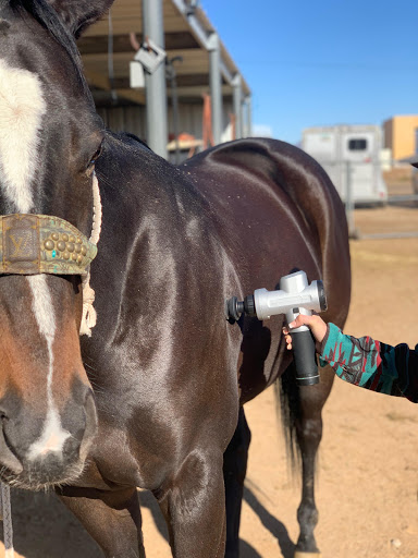 CKC PEMF Equine Therapy - Thumbnail