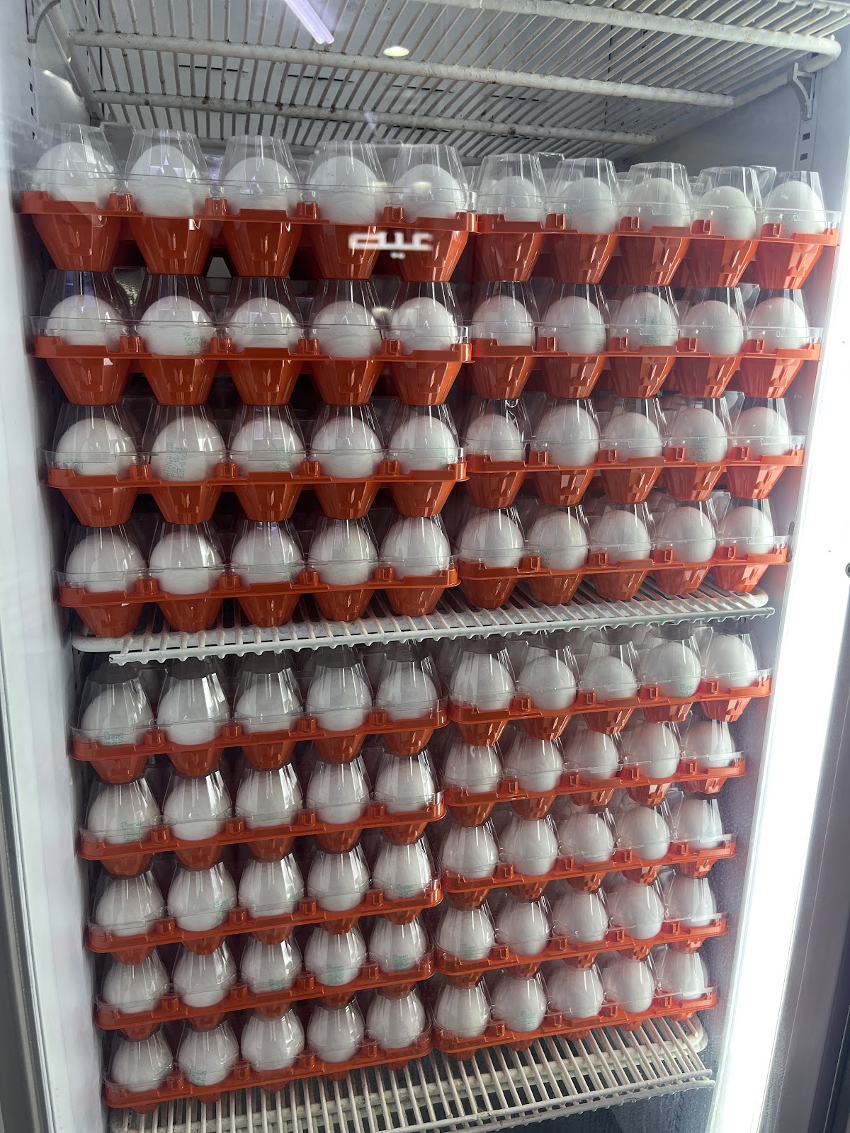 الريان للدواجن - صورة 2