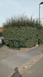 Photo n°25 de Société EC vert à Petit-Caux (Paysagiste)