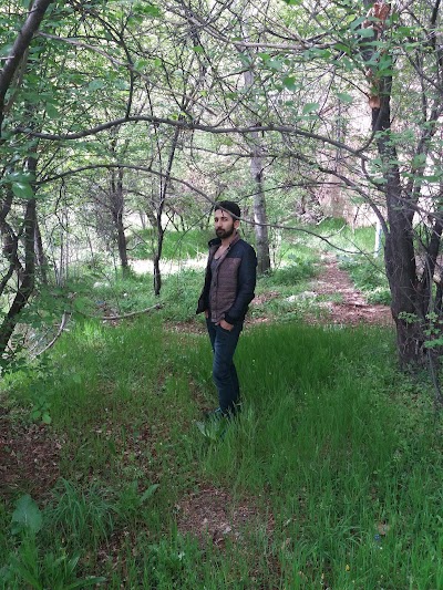 Photos of Park originated Khansar