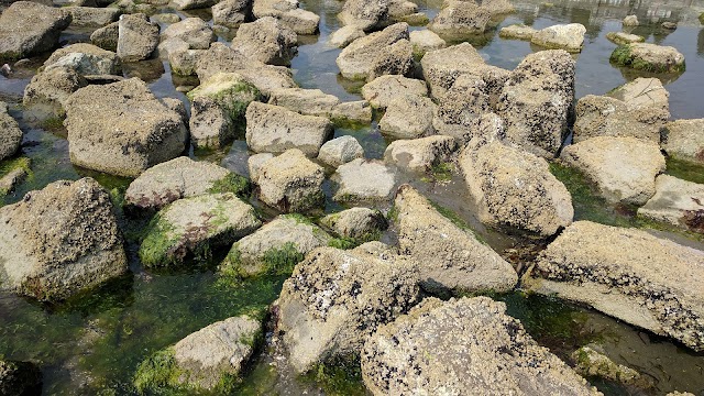 White Rock Pier