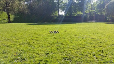 Photos of Deer's Park