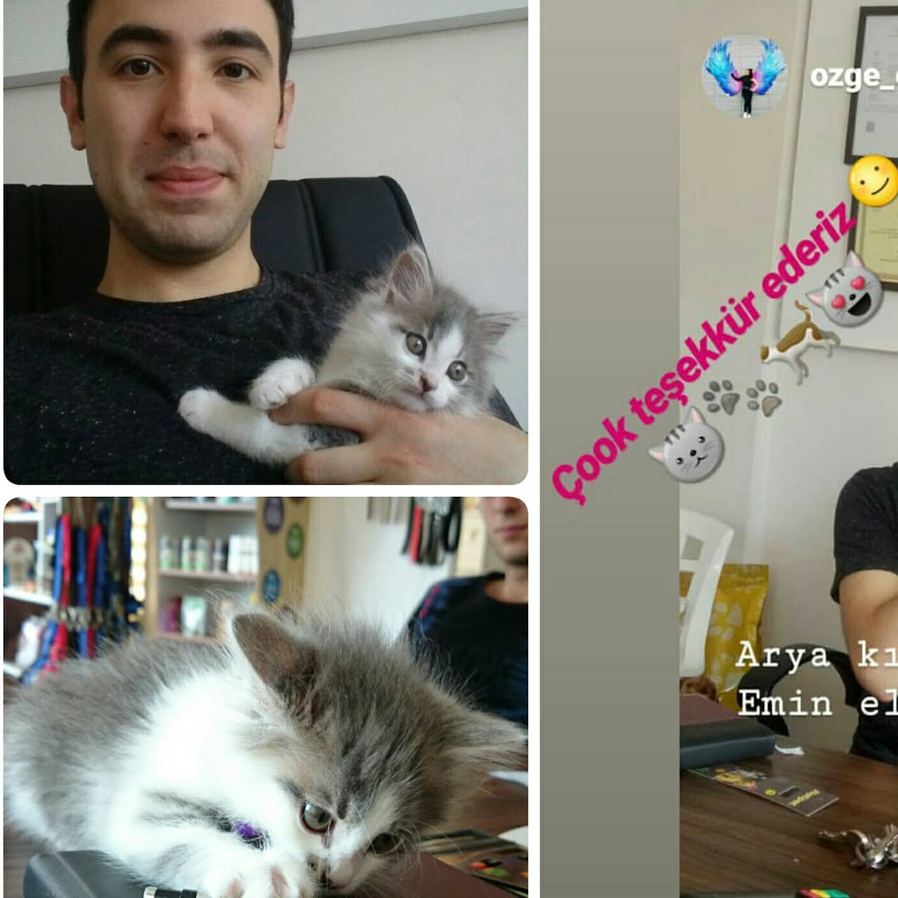 Kastamonu EMPATİ VETERİNER KLİNİĞİ ve EVCİL HAYVAN PANSİYONU Acil