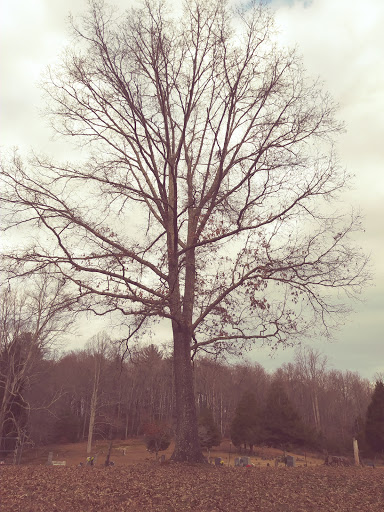 Montgomery Cemetery - Thumbnail