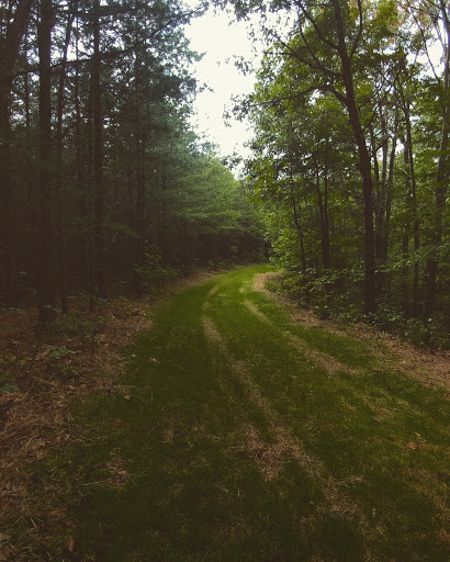 Vinton Furnace State Experimental Forest Headquarters - Thumbnail
