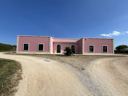 Ambulatorio Veterinario Dott.ssa Mengoli - Thumbnail