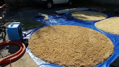 Photos of Fusion Cleaning & Restoration