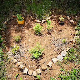 Photo n°7 de Claire Ponticelli - L'Oasis de Cezay à Cezay (Centre de bien-être)