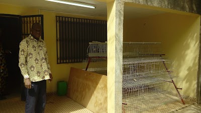 Photos of Cocooning