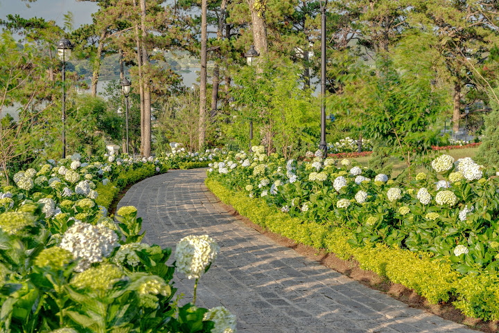 Khách sạn Dalat Palace by null