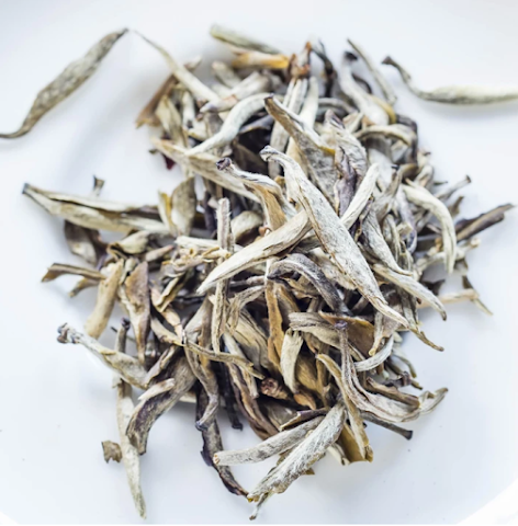 Rare Tea Company Head Office by null