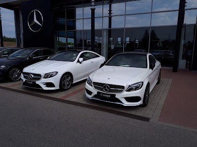 car-dealer