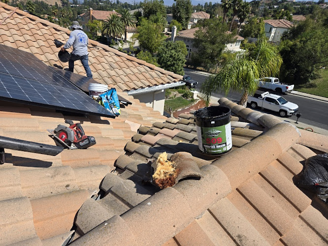 Luis Roofing Services