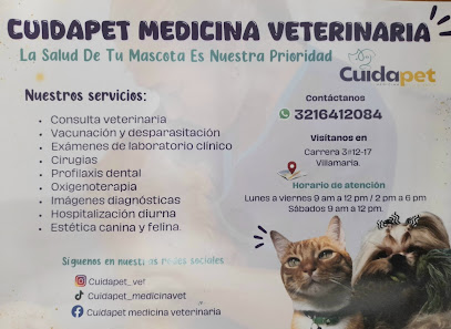 Fotografía de Cuidapet Medicina Veterinaria Gato