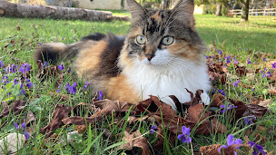 Photo n°7 de Le Claud de la Maison à Simeyrols (Chambre d'hôtes)