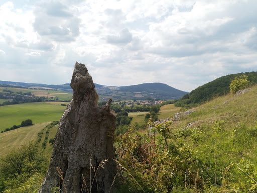 Windharfe - Visual