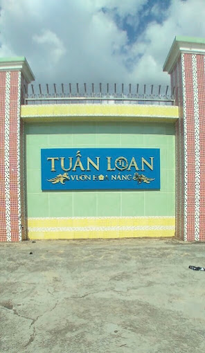 TUẤN LOAN – VƯỜN HOA NẮNG