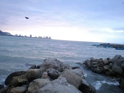 Photos of Gasolinera Primax San Vicente