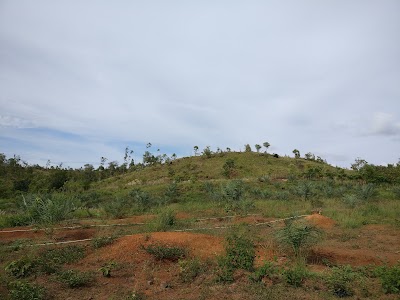 Photos of Kebun Kurma Aceh