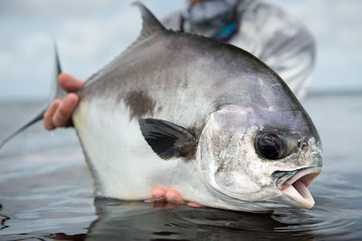 Photos of Tres Pescados Fly Shop