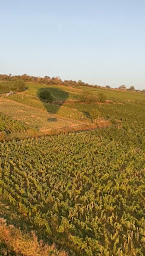 Photo n°2 de France Montgolfieres - Bourgogne - BEAUNE -Vol en montgolfière à Marigny-lès-Reullée (Agence de vols touristiques en montgolfière)