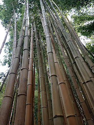 Photo n°15 de Sushis BÔ à Frontignan (Sushi à emporter)