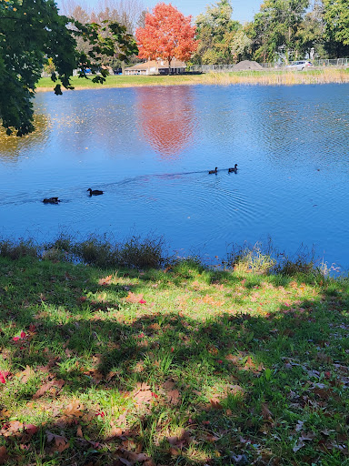 Steinmetz Park - Thumbnail