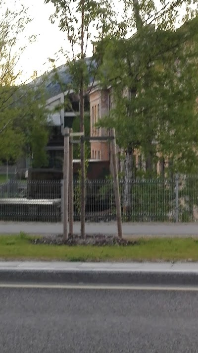 Photos of Lennusadam