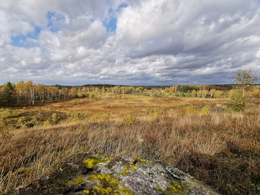 Bölarp - Visual