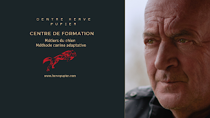 Photo n°6 de Herve Pupier à Sainte-Maure-de-Peyriac (Dresseur pour chiens)