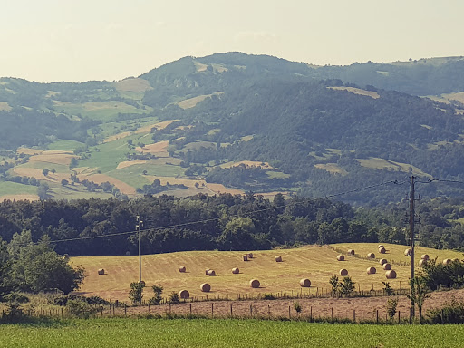 Cà di Bendossa - Visual